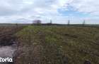Teren cota parte 3/16, Sipote, ID: R3070063 - 10