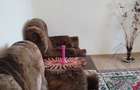 Inchiriere apartament 2 camere - zona Spiru Haret - 2