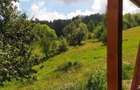 Casa si teren in Plopi - 1