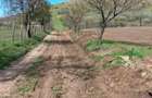 Teren de vanzare loca?ie deosebita in Greci, Mun?ii Macin - 3