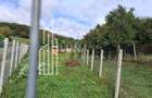 Teren intravilan, 938 mp, zona Remetea - 8