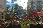 Casa in inima Aradului, ultracentral pe Malul Muresului - 16