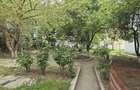 Studio Tomis 3 - City Park Mall - centrala proprie - 6