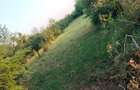 Teren intravilan 1260m Magurele Prahova - 2