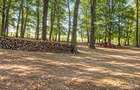 Vânzare teren extravilan pădure+ Pășune 17 000 mp Covasna - 9