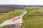 Teren premium 20.000 mp | Sura Mica | Locatie exceptionala |VIDEO - 7