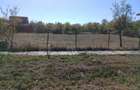vand gradina 600m2 in ianova jud timis - 2