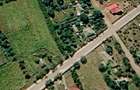 Teren Intravilan 3.000 MP | URSOAIA - 2