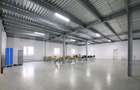 Hală modernă ,5000 mp, zona Turda-Câmpia Turzii , partial din 10.000 de mp. - 9
