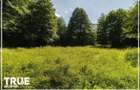 Teren intravilan 2.800 m2 in Campu Cetatii liniste si natura - 11