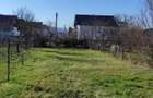 Casa Dobrogeanu Gherea - 4