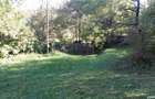 Teren intravilan Cerasu Valea Borului Teren 2.280 mp, Deschidere 30m, Utilita?i pe proprietate - 6