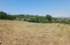 Casa in Comsesti cu teren intravilan 1800mp, acces bun