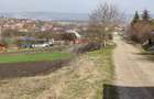 teren intravilan 8632 m2 - 5