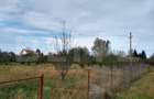 Teren intravilan de vanzare, 1400 mp, zona Bercu Rosu - 9