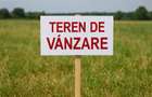 Teren intravilan 6,2 ari, front 18 ml, Livada SCPP, Cerbului, 0% comision