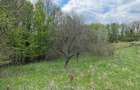 Terenuri extravilane in Luncoiu de Sus, Hunedoara