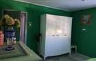 2 camere | 66 mp | Dristor - Vis-a-vis de ParkLake