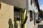 Casa individuala in Vatra Veche, Giarmata 300 mp utili - 2