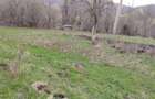 Teren de vanzare Bisoca - 4