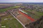Nuci - Balta Neagra, Lot 3900 Mp, La Padure! - 9
