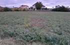 DE VANZARE TEREN 2000 MP - COSERENI( il ) - 6