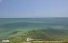 #Dezvoltator: Studio cu vedere frontala la mare - Evergreen Costine?ti - 9