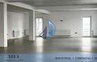 Showroom/birouri/productie 480 mp, conditii LUX, parcare proprie