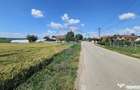 Teren 15,000mp Salcea-Prelipca, Suceava - Prelipca (Suceava)