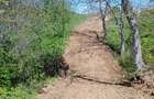 Vand Teren in Curtea de Arges suprafata 5000mp - 3