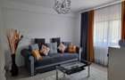 Inchiriez Apartament cu 1 camera Bucium- Visani - 3