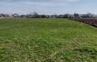 Teren 7000 mp,29euro mp.zona Libertatii, Targu Mures, - 2