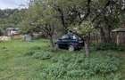 Teren 1.000 mp cu TOATE UTILITATILE - 2