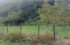 Vand teren intravilan Sat Voia Com. Balsa 7000mp - 2