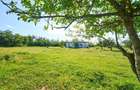 Teren Intravilan 1100 mp + Anexa 120 mp - Budeasa, Calot... - 5