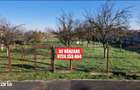Vanzare teren 9654 mp, deschidere 27mp, comuna Dobra, sat Dobra - 3