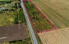 Teren strategic DN7 41.000 mp, front stradal 500 m, langa centura Vladimirescu ideal logistic, industrial sau comercial - 3