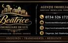 Agentia Beatrice Imobiliare de Lux - 1