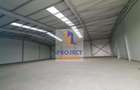 Hala industriala, Bradu, DN 65B - 10