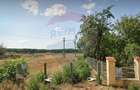 Teren Construcții intravilan de 800 mp, în Ghermănești - 3