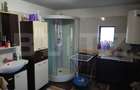 Gospodarie deosebita, casa de locuit, spatiu comercial, 155 mpu si 200 - 10