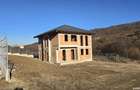 Casă în Făget - 2
