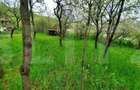 Teren intravilan 3040 mp, zona Donath - 3