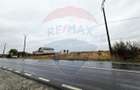 Teren extravilan de vanzare in Frumusani, acces direct DN4 - 2