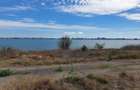 Teren de vanzare Palazu Mare primul rand la lacul Siutghiol - 2