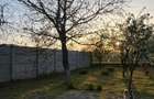 Vand Casa in satul Branet Olt - 4