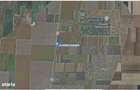 Teren extravilan Dragalina, cota parte 1/2, ID: R2992764 - 3