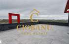 Hale industriale+Cladire de Birouri de inchiriat zona Aeroport - 10