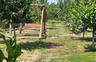 De vanzare casa 99 mp, teren 7,5 ari in Lazuri, Satu Mare - 10