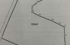 Teren agricol de 2951 mp, în Bran - 7